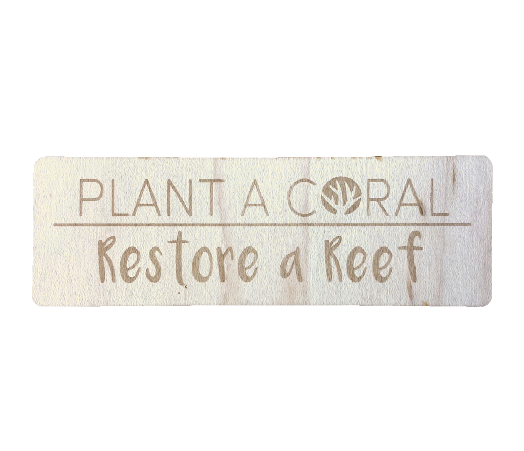 Biodegradable Wood Sticker – Plant a Coral