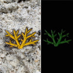 Staghorn Coral Pin - Glow in the Dark